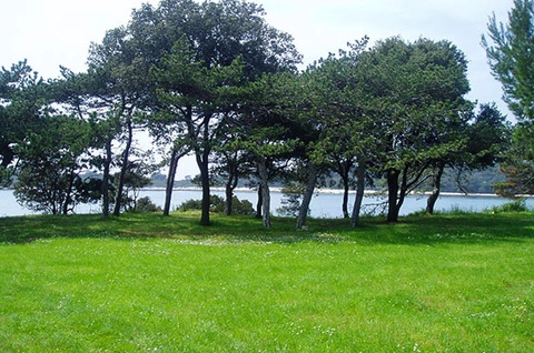 zobacz camping - zdjęcie 8