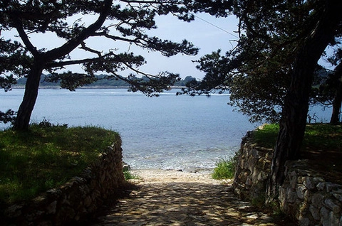 zobacz camping - zdjęcie 7