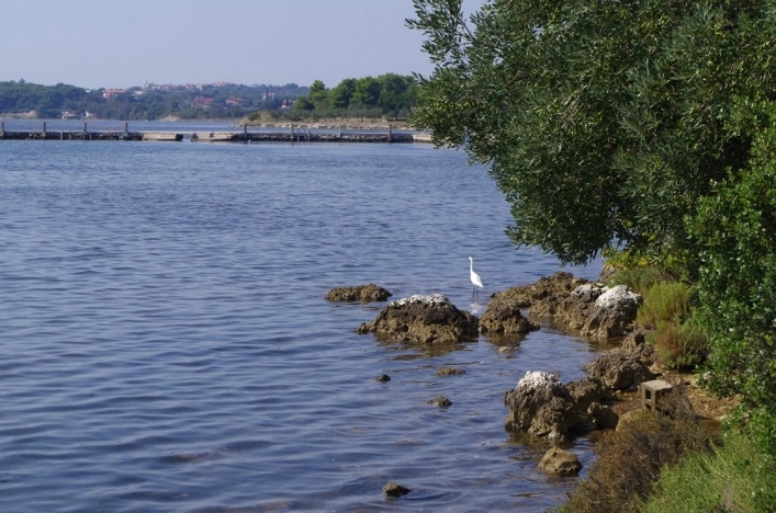 Camp Pomer - zdjęcie 1