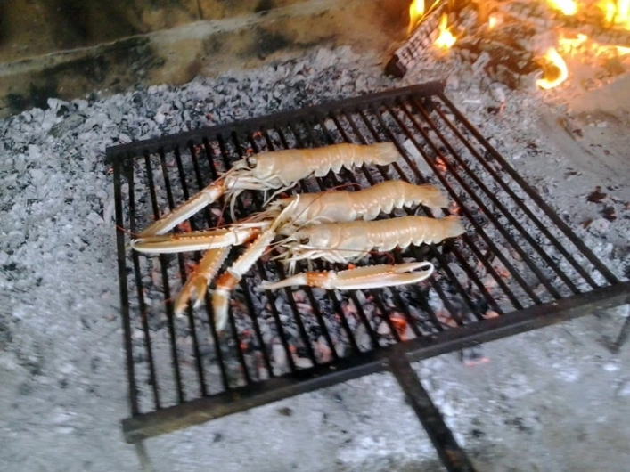 zobacz camping - zdjęcie 12