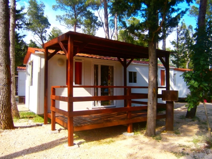 zobacz camping - zdjęcie 9