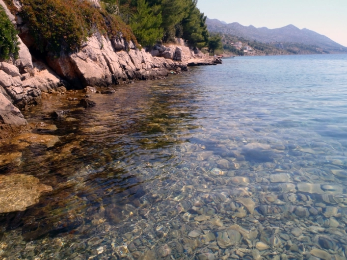 Camp Stine - zdjęcie 3