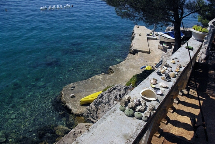 Camp Stine - zdjęcie 2