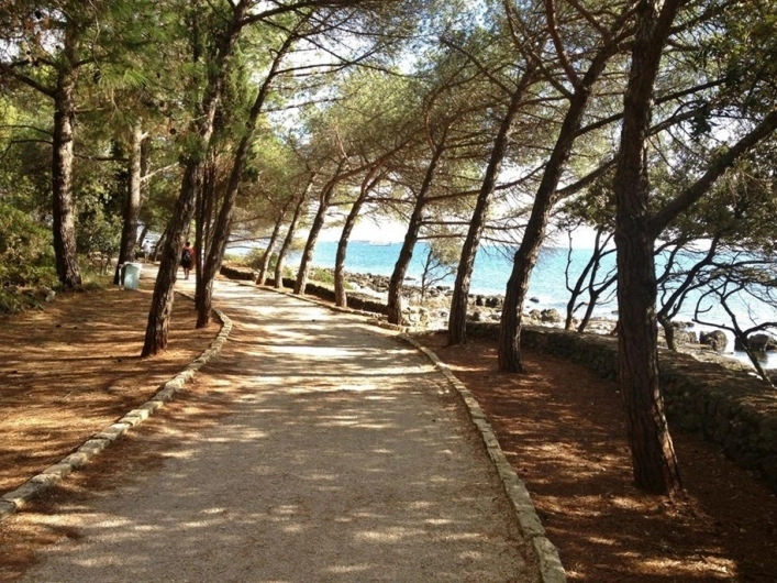 zobacz camping - zdjęcie 12