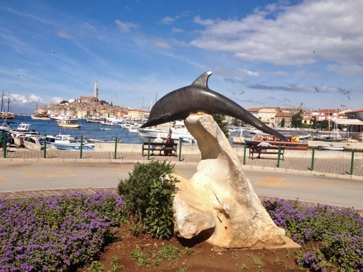 zobacz camping - zdjęcie 11