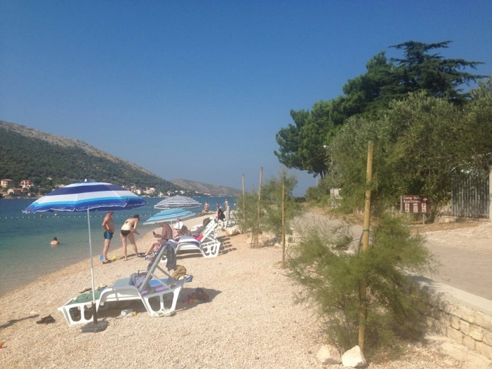 zobacz camping - zdjęcie 17