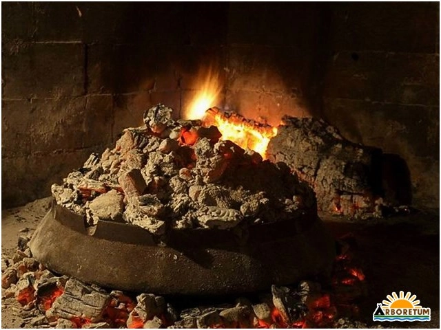 zobacz camping - zdjęcie 20