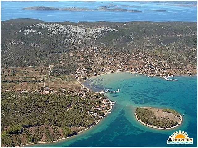 zobacz camping - zdjęcie 17