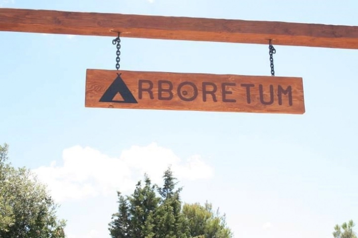 zobacz camping - zdjęcie 16