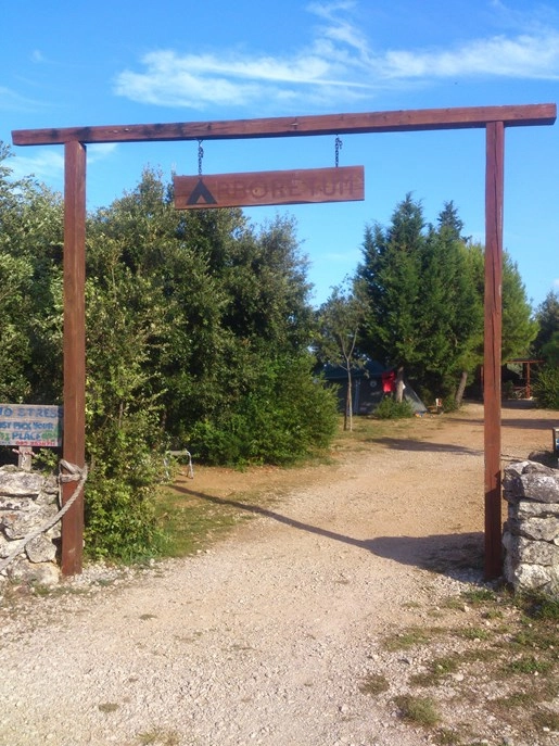 zobacz camping - zdjęcie 15