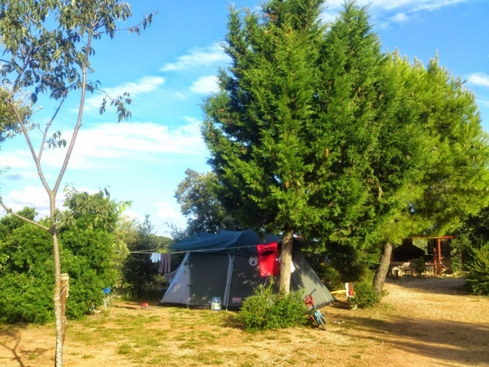 zobacz camping - zdjęcie 14