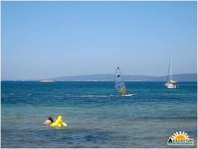 zobacz camping - zdjęcie 13