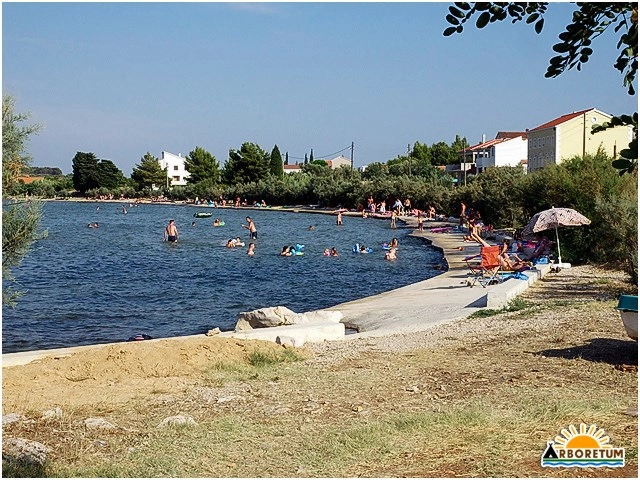 zobacz camping - zdjęcie 12