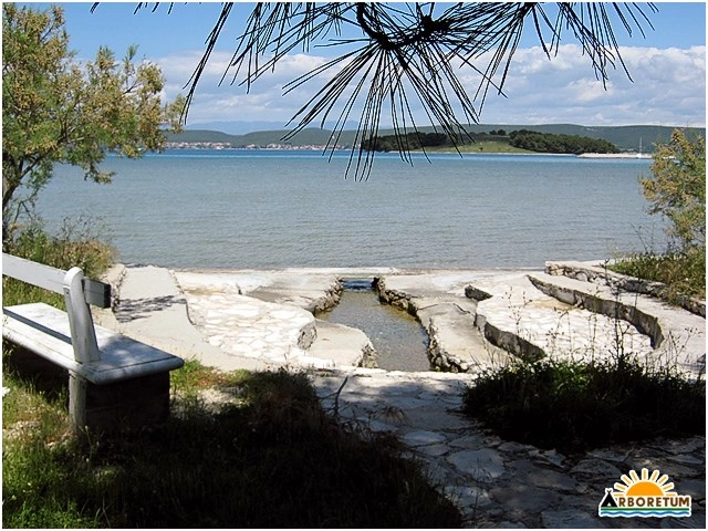 zobacz camping - zdjęcie 8