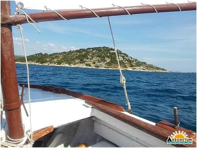 zobacz camping - zdjęcie 7