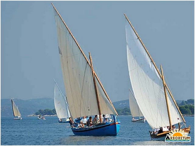 zobacz camping - zdjęcie 6