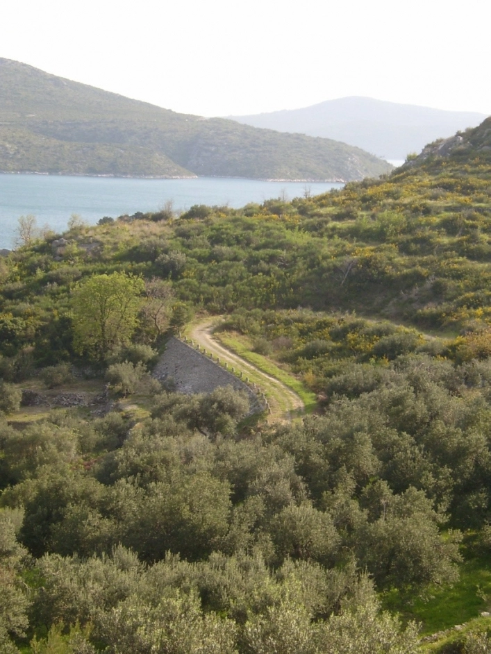 zobacz camping - zdjęcie 6