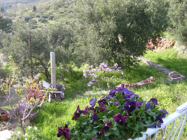 Camping Baldo