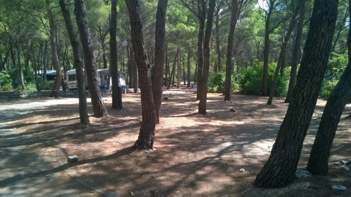 zobacz camping - zdjęcie 15