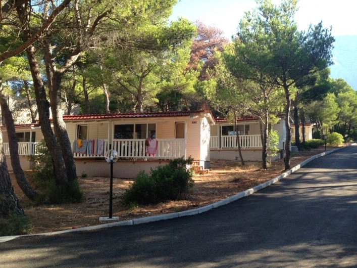 zobacz camping - zdjęcie 8