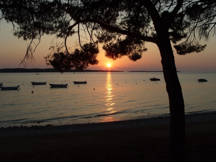 zobacz camping - zdjęcie 12