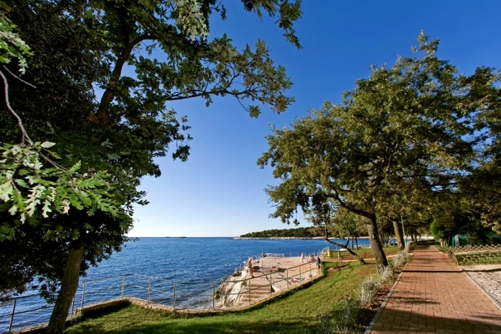 zobacz camping - zdjęcie 12