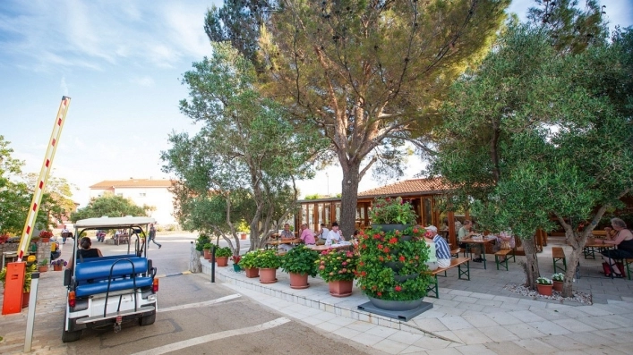 zobacz camping - zdjęcie 27