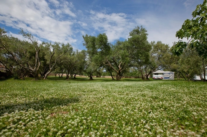 zobacz camping - zdjęcie 24