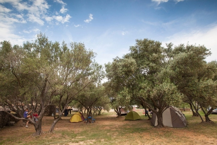 zobacz camping - zdjęcie 11