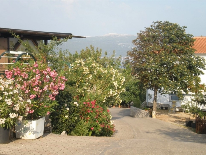 zobacz camping - zdjęcie 9