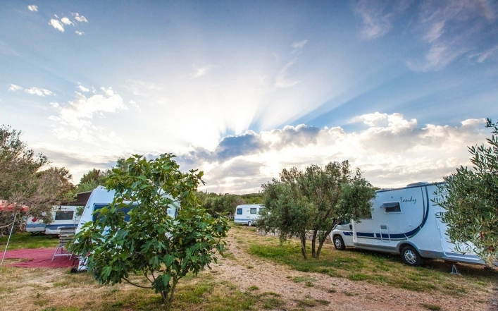 Camping Bor - zdjęcie 2