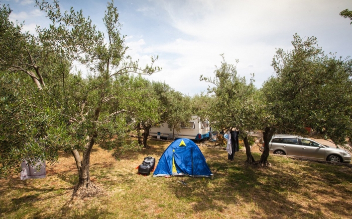Camping Bor