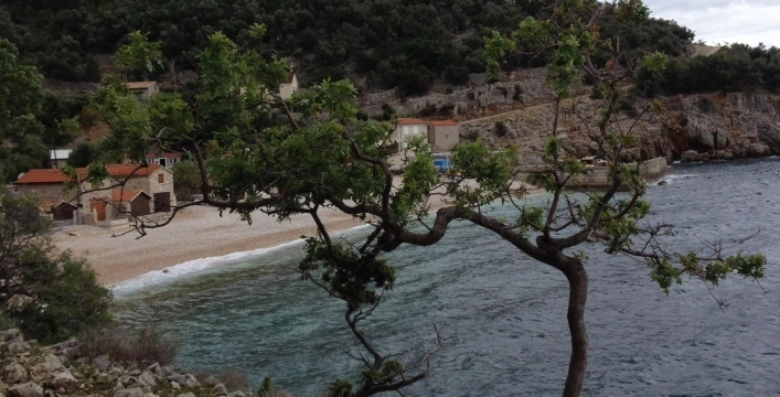 Camping Brajdi na Moru - zdjęcie 1