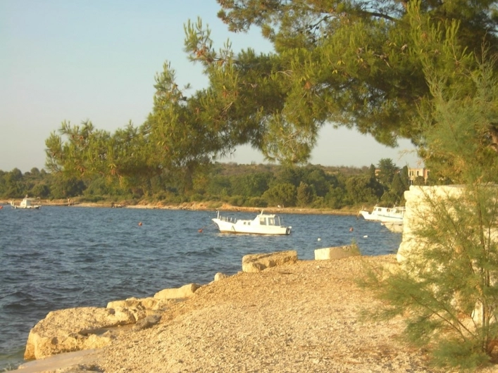 zobacz camping - zdjęcie 5