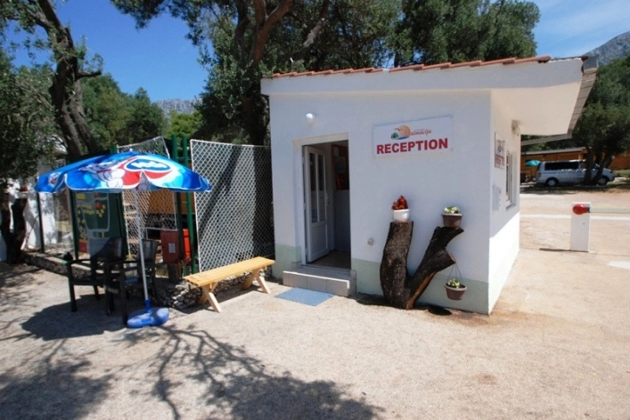 zobacz camping - zdjęcie 18