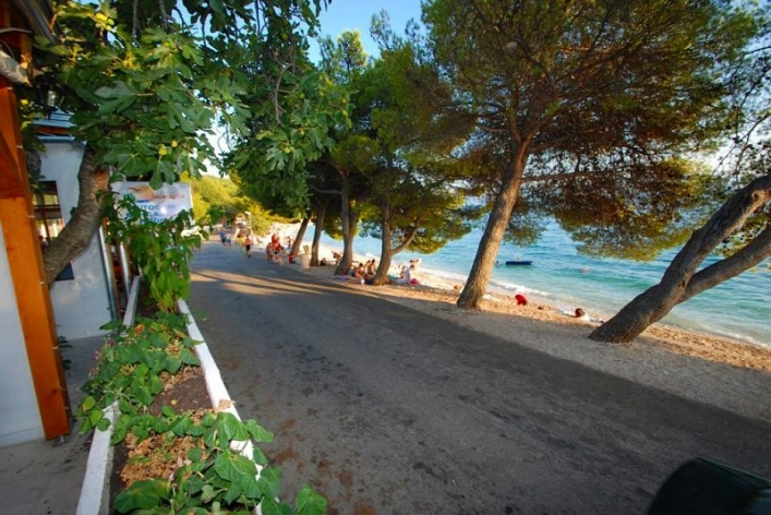 Camping Dalmacija - zdjęcie 2