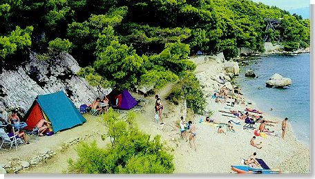 Camping Danijel - zdjęcie 1
