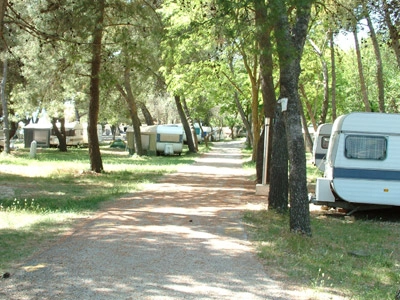Camping Dardin - zdjęcie 3
