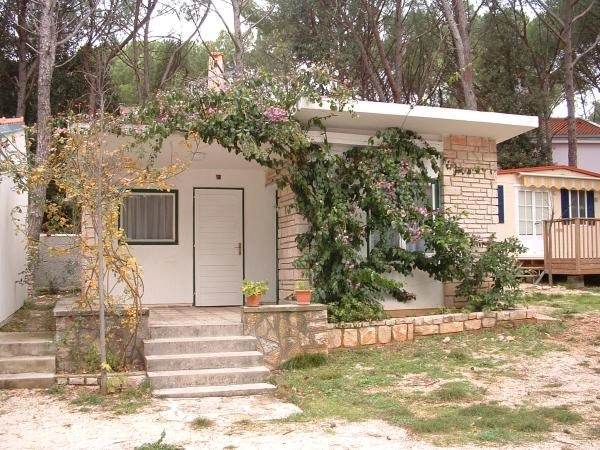 zobacz camping - zdjęcie 8