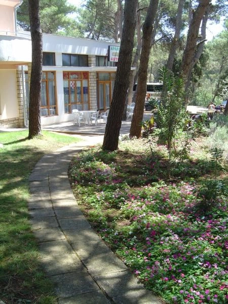 zobacz camping - zdjęcie 7
