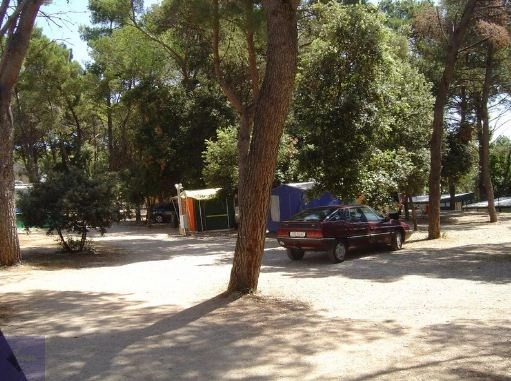 Camping Diana &amp; Josip - zdjęcie 4