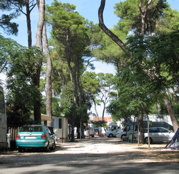 Camping Diana &amp; Josip - zdjęcie 1