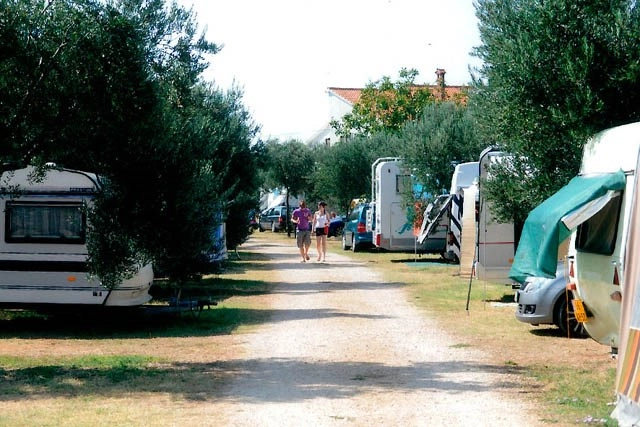 zobacz camping - zdjęcie 10