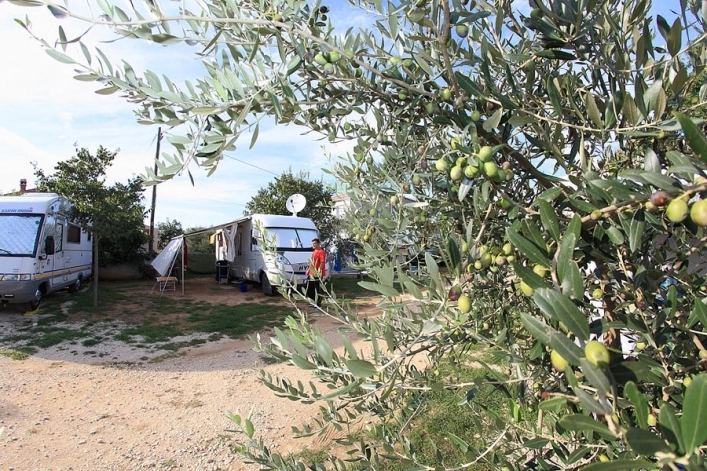 zobacz camping - zdjęcie 32