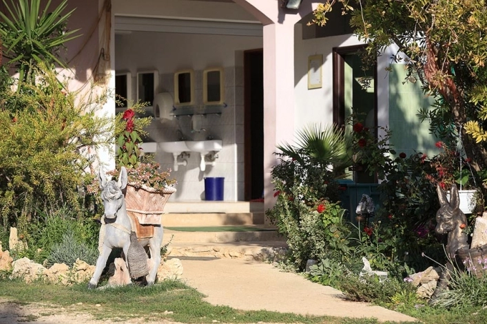 zobacz camping - zdjęcie 29