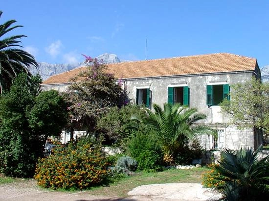 zobacz camping - zdjęcie 9