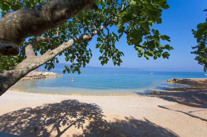 zobacz camping - zdjęcie 23