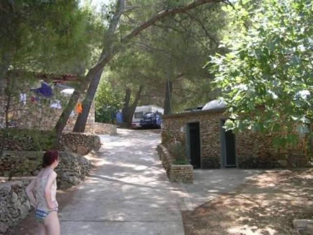 zobacz camping - zdjęcie 21