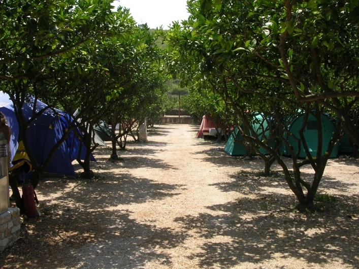 Camping Grebisce - zdjęcie 2