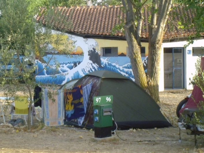 zobacz camping - zdjęcie 14